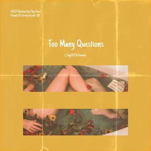 Too Many Questions