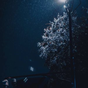 日复一日的思念让我逐渐麻木