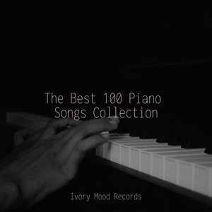 Enchanted Nocturnal Haven