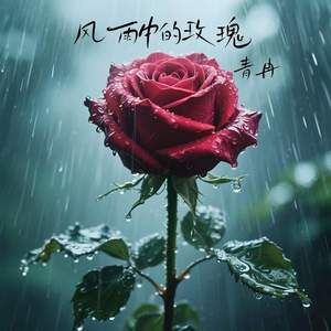 风雨中的玫瑰