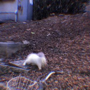 Happy·ending（pray by WDR）