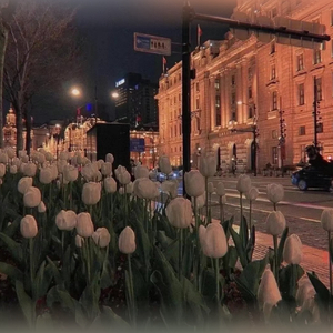 关于你的日记从未停笔