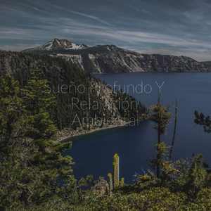 Revelación Solitaria