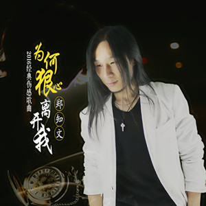 我是一个被爱情伤了心的人