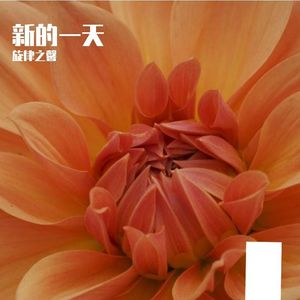 任是无情也动人