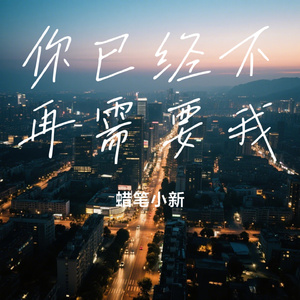 你已经不再需要我