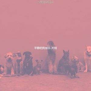 安静的放松的狗声音