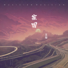 送你一束康乃馨