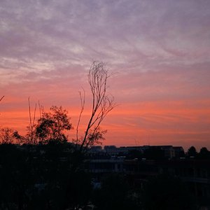 错把路灯当月光