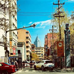 爱的魔力转圈圈