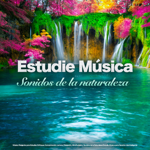 Sonidos de Naturaleza para estudiar - Ayuda de estudio
