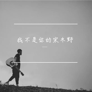 我不是你的宋冬野