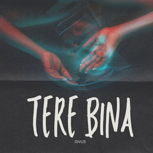 TERE BINA