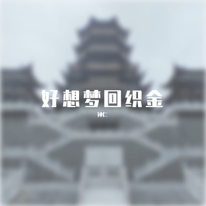 好想梦回织金 伴奏