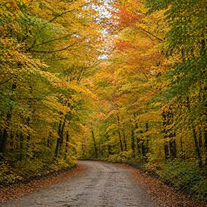 It’s All Ready For You