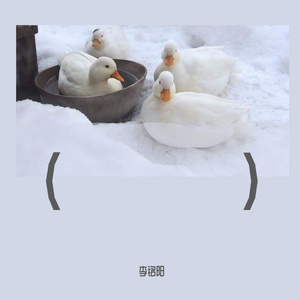 忽然之间（男声）