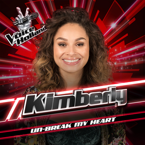 Unbreak My Heart (From The Voice Of Holland Season 8)