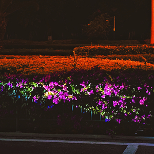 我怎么又会浪漫呢.mp3