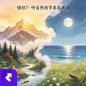 悟经7·听自然的节奏在跳动