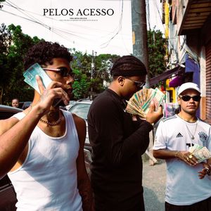 Pelos Acesso