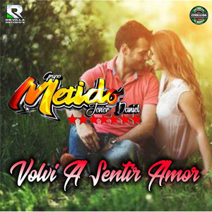 Volvi a Sentir Amor