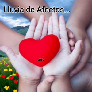 Lluvia de afectos ..