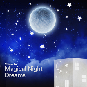 Music for Magical Night Dreams, Pt. 13