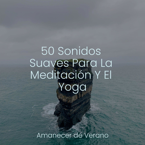 Melodías Inspiradoras en Foco