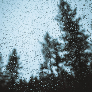 Night Thunder and Rain