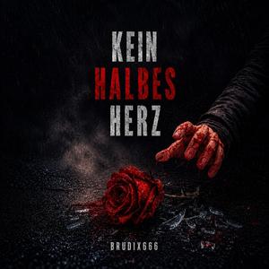 Kein Halbes Herz (Techno)