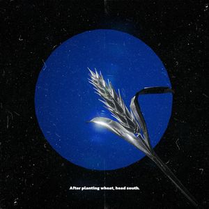 种完麦子往南走