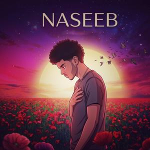 Naseeb