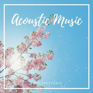 Acoustic Folk