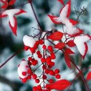 好想找一个没人的地方大哭一场