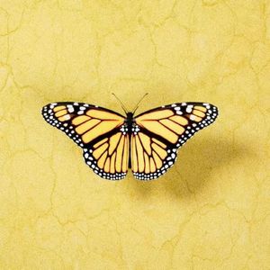 思念 | “免费伴奏” CashTrippy×Lil Asian×Gunna Type Beat