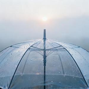 雨中藏着未说的谎