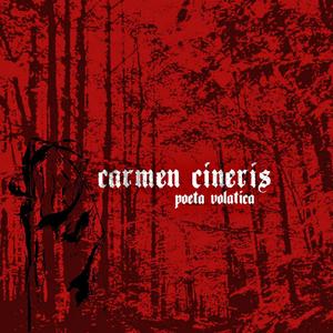 Down This Now (feat. Carmen Cineris)