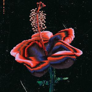 On My Soul (feat. Raiden X)