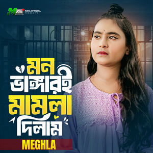 Mon Vangari Mamla Dilam