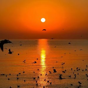 Sunrise Side By Side