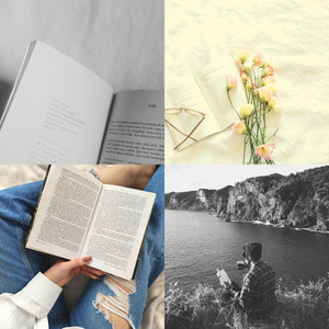 抚慰的小说回忆