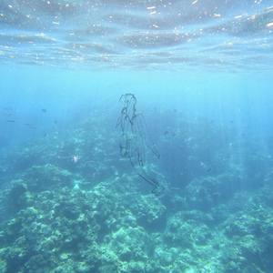 水彩の夢 (feat. 初音ミク)