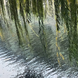 明天见