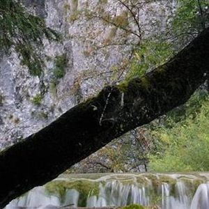 奈何只落得半身伤 (15)