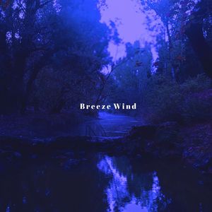 Breeze Wind