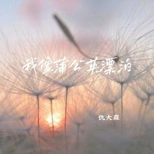 我像蒲公英漂泊（伴奏）