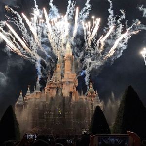 你就不要想起我