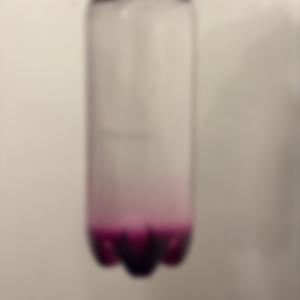 Codeine