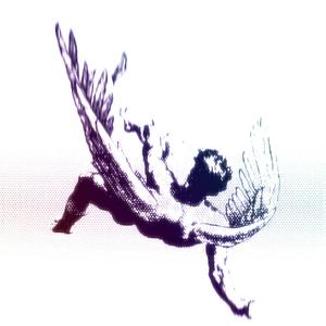 HVN