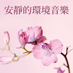 治療失眠音樂